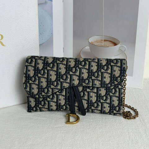 DIOR Saddle WOC鍊包