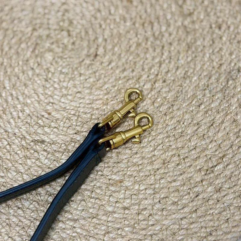 🏷Celine 瑟琳.Nano Belt 鯰魚包-24