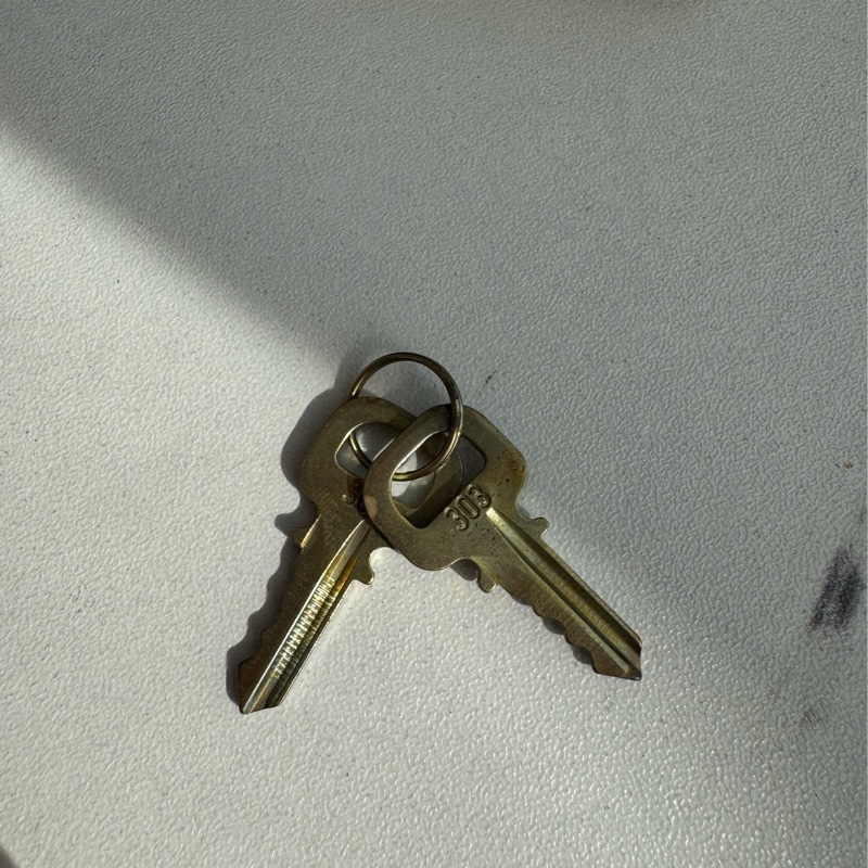 LV咖棋盤格speedy25背帶款-53