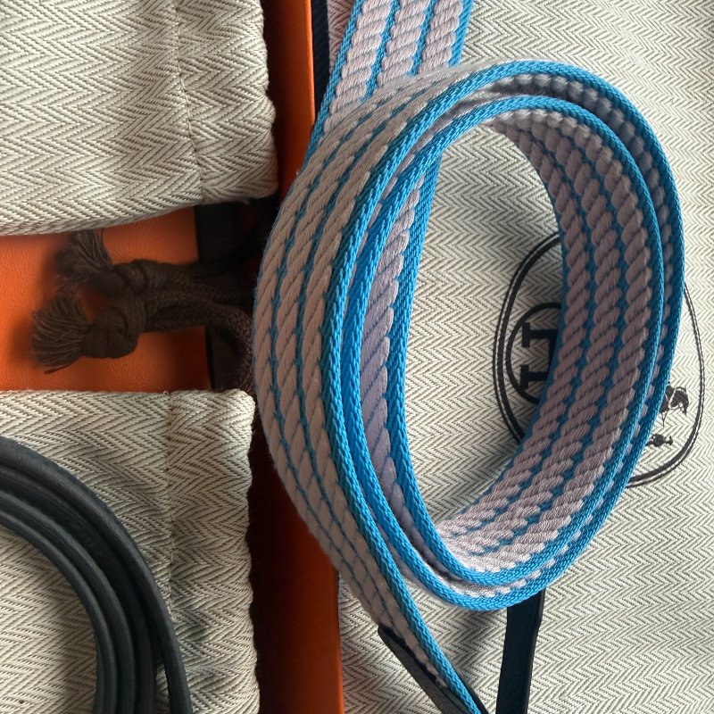 Kelly To Go 限量版雙肩帶-4