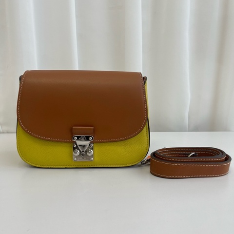 LouisVuitton 路易威登 拼色小豬包  附件：無