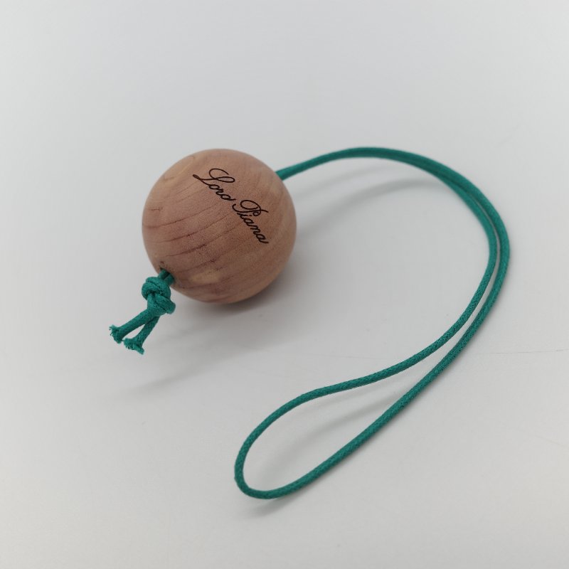 (全套全配♥️)Loro Piana Extra Pocket L19 綠色 小牛皮 手提包 斜背包 化妝包-22