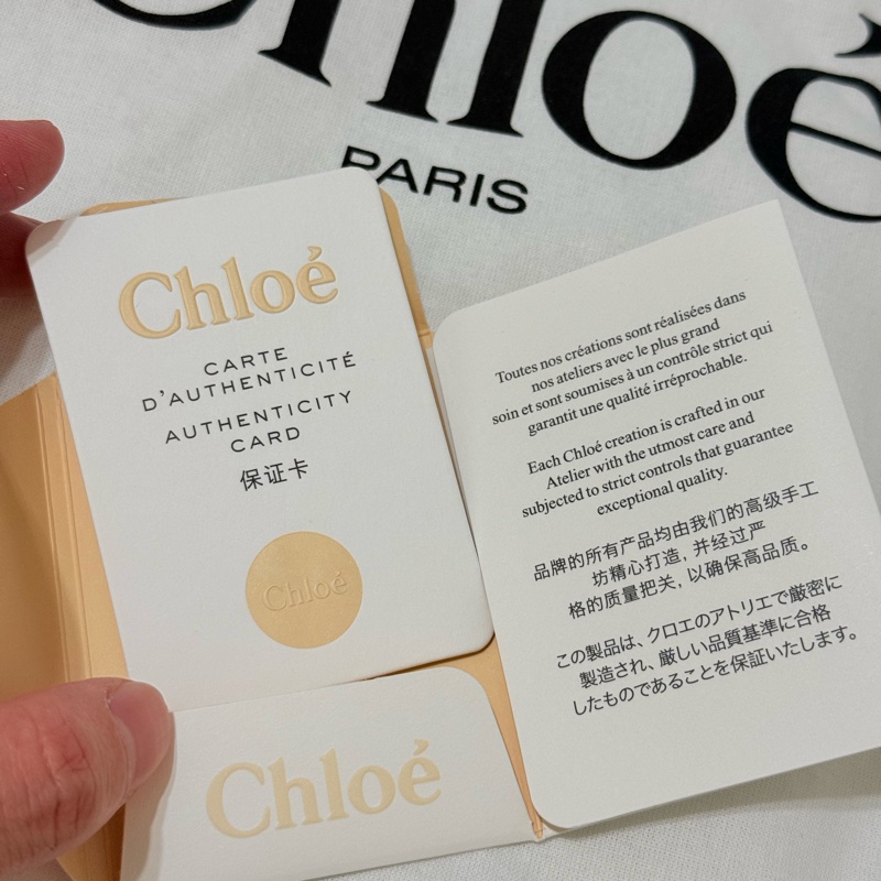Chloé 小型亮面水牛皮 Camera 相機包-17
