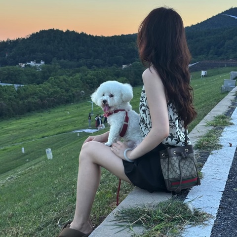 【有購證✨小巧可愛✨全網最低價】Gucci Ophidia系列老花水桶包