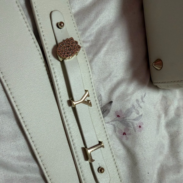 DIOR 白色淡金四格黛妃 徽章背帶-9