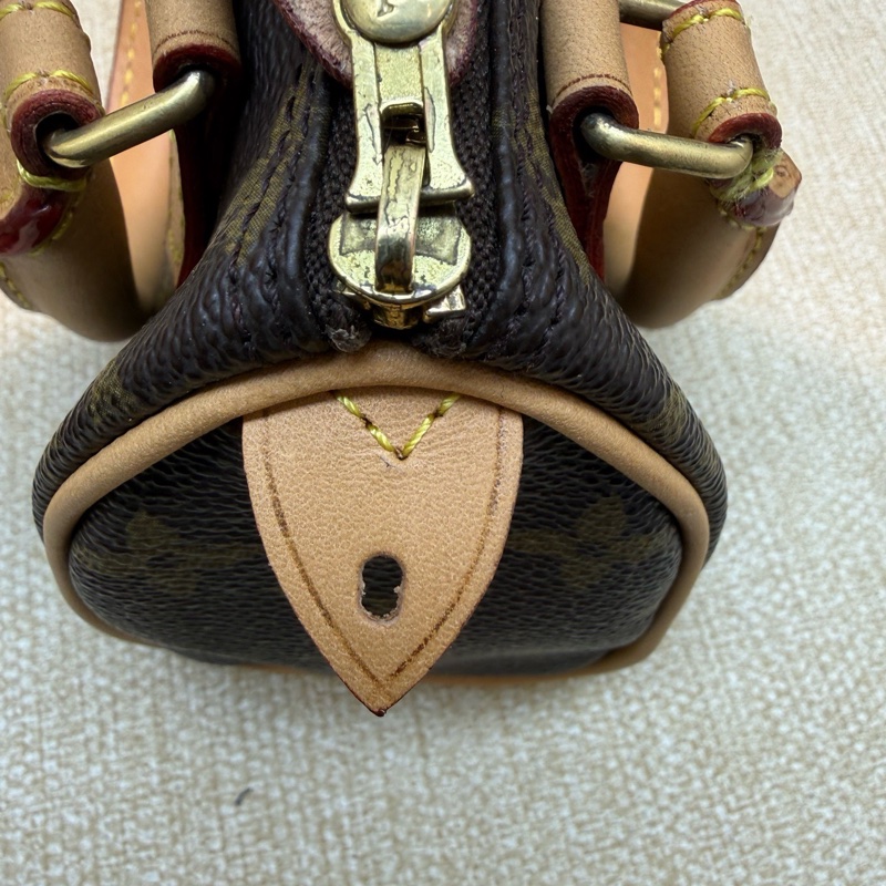 LV 老花帆布 Speedy Nano手袋-14