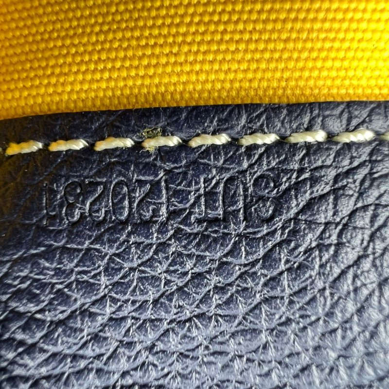 Goyard Saint Léger 雙肩包-6