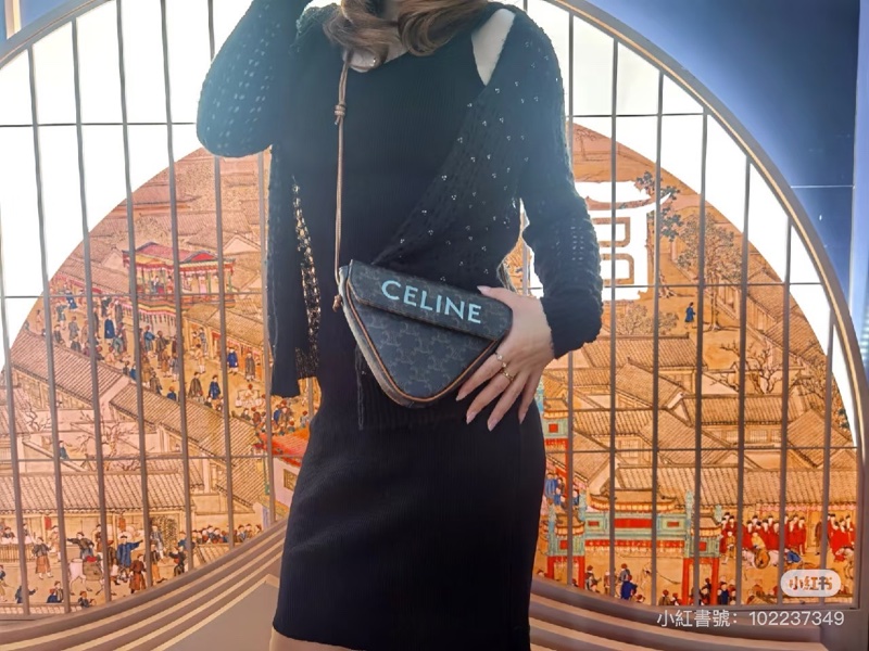 Celine 經典老花 三角包-2