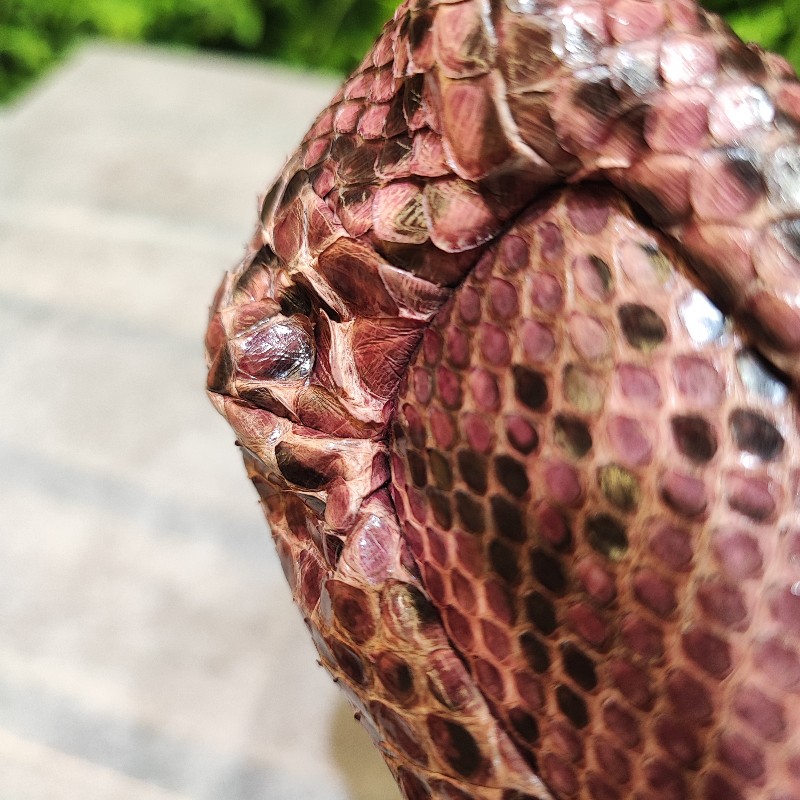 Gucci Hysteria Python Clutch-17