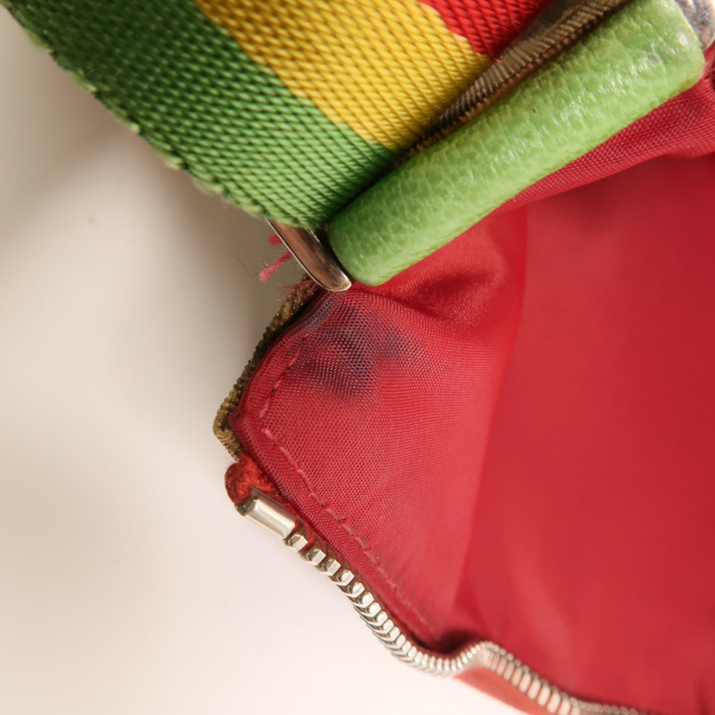 Dior 塗層帆布Rasta Trotter Messenger銀扣肩背袋-14