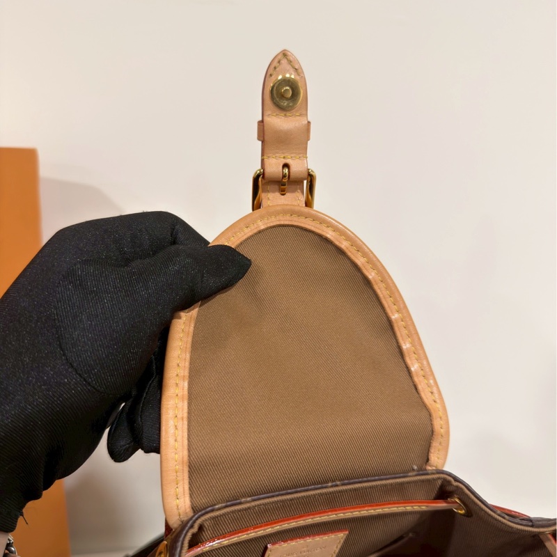 #Louis Vuitton新款青蛙包 💎💎晶片款-22