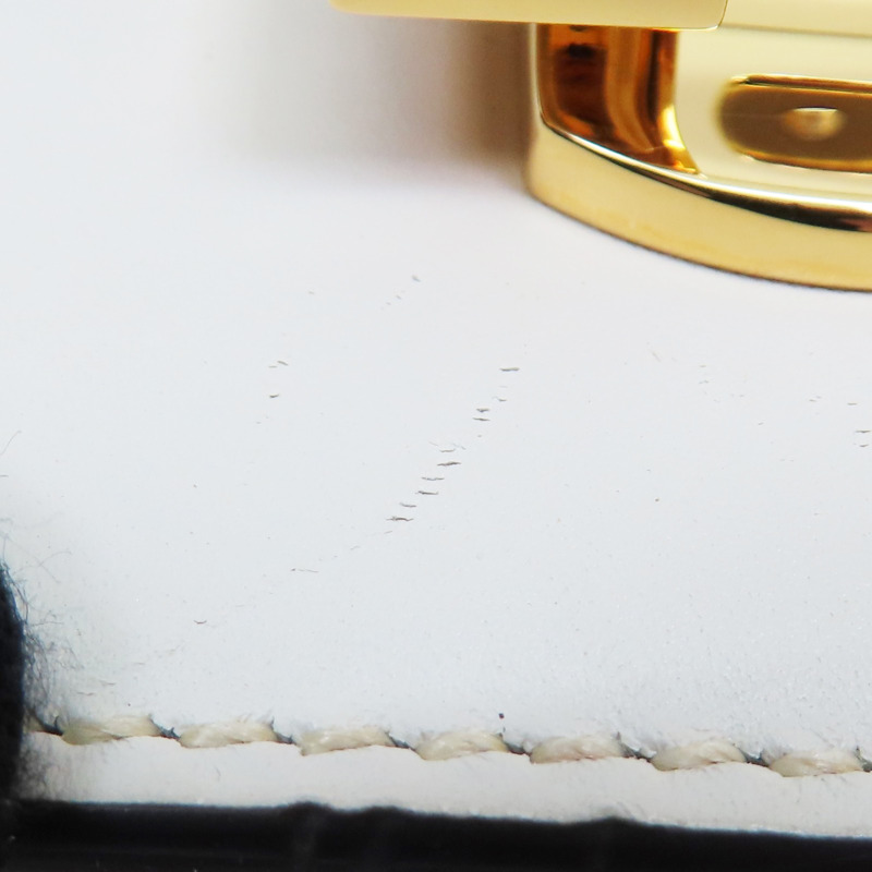 白色 牛皮 Sylvie 肩背包【GUCCI 古馳】 421882-15