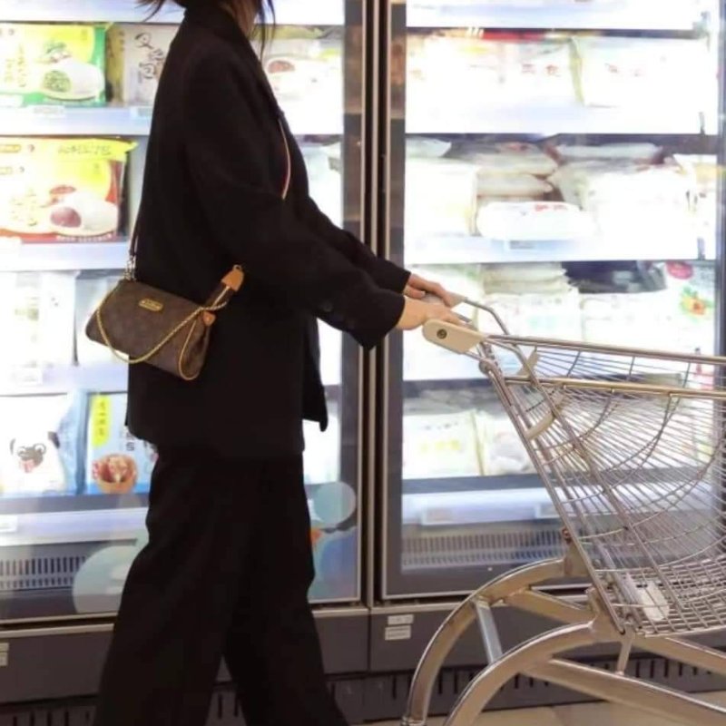 LV M95567 EVA 原花金牌金鍊手提包/肩背包/斜背包/晚宴包/腋下包 /麻將包-6