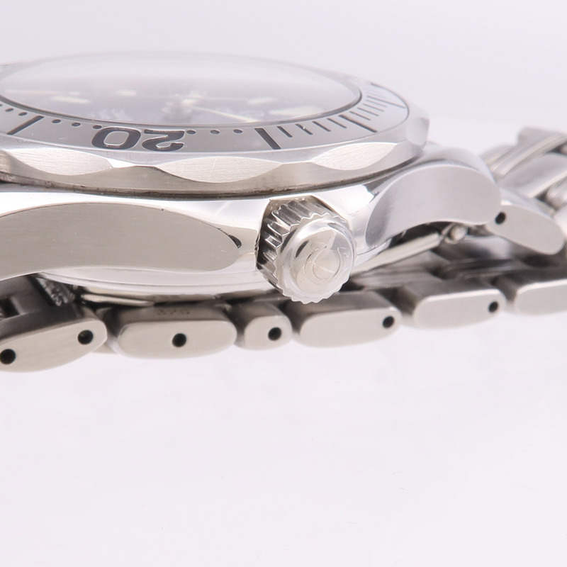 OMEGA Seamaster Professional 2554.80.00-11