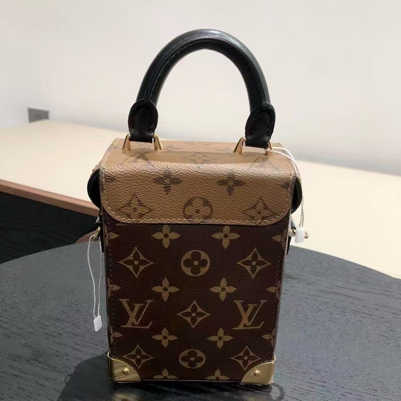 LV路易威登 Camera Box 老花秀款盒子包-2