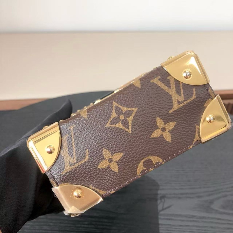 LV路易威登 Camera Box 老花秀款盒子包-5