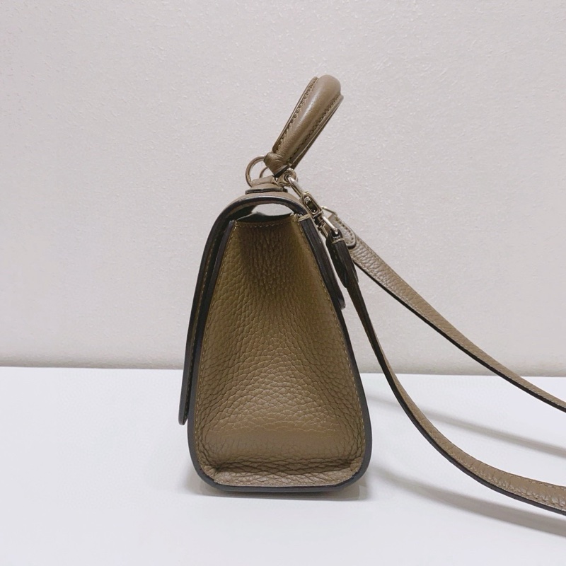 Moynat莫奈經典Rejane牛皮大象灰銀扣小號手提斜挎包，-2