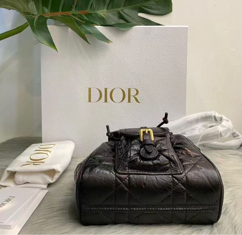 Dior caro 小號藤格紋 黑金後背包18*18.5*8.5 99新配件塵袋-2