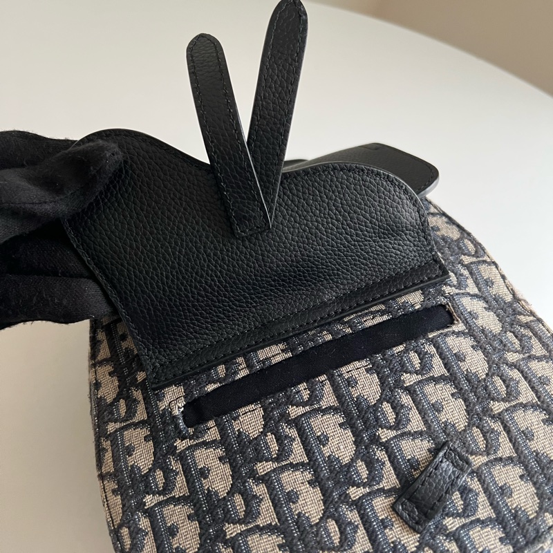 Dior 老花Gallop Sling Bag-12