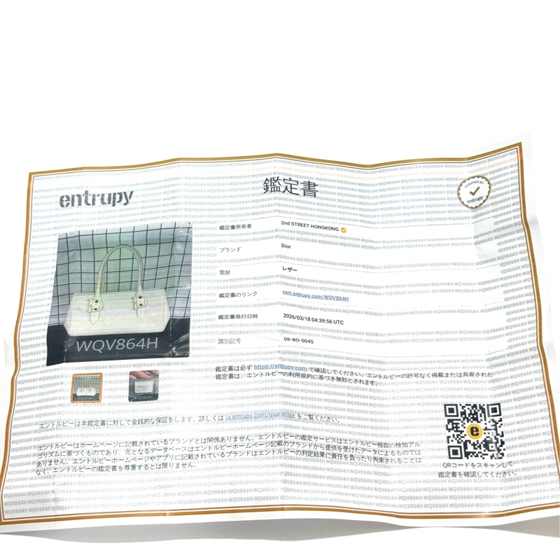 Christian Dior White Leather Handbag-30