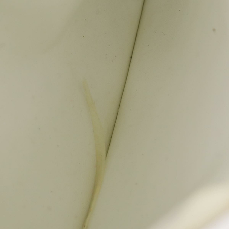 【日本直送】香奈兒白色金色雙C皮革雙肩包,正品編號gh1739-21