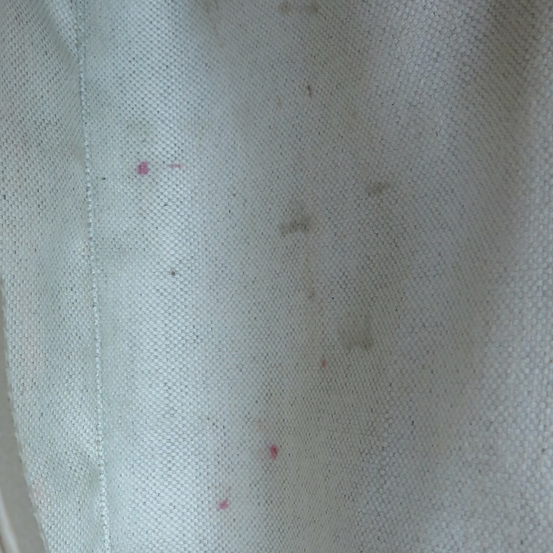 米白色 帆布 Ophidia GG 小號 肩背包 503877【GUCCI 古馳】 503877-15