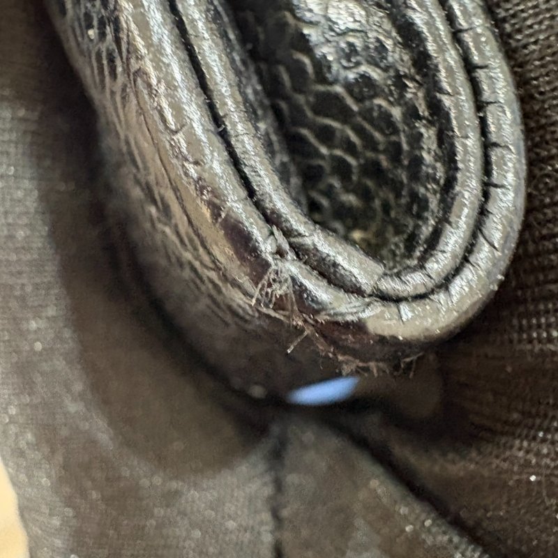 CHANEL 魚子醬牛皮黑金卡片夾-21