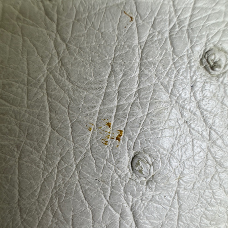 celine 鴕鳥皮古董單肩包-18