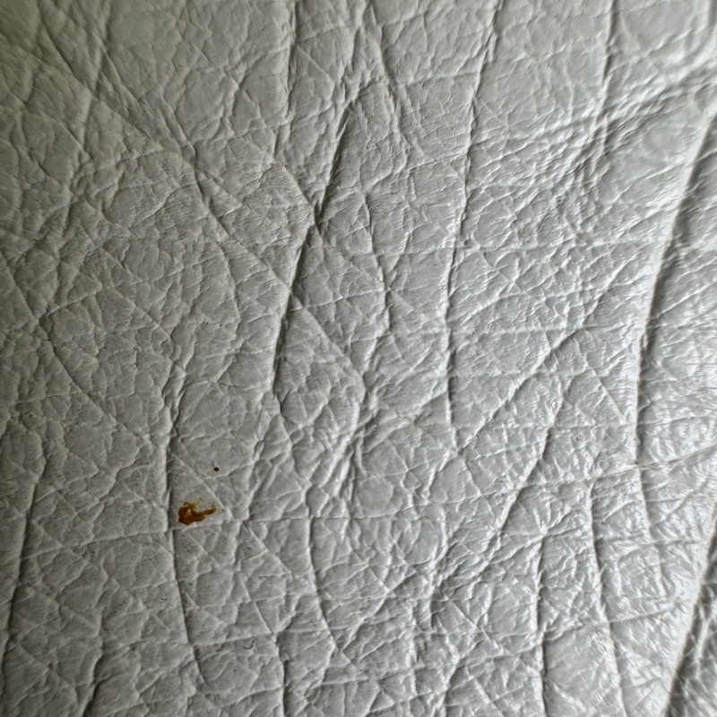 celine 鴕鳥皮古董單肩包-19