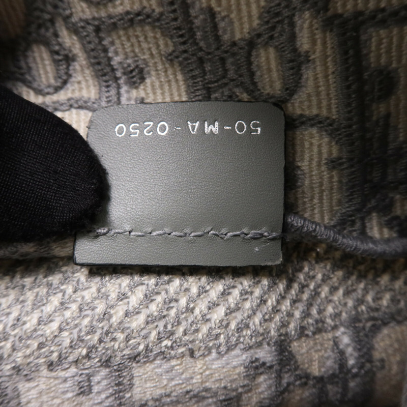 Dior 帆布Medium Diorcamp Bag銀扣肩背袋-6