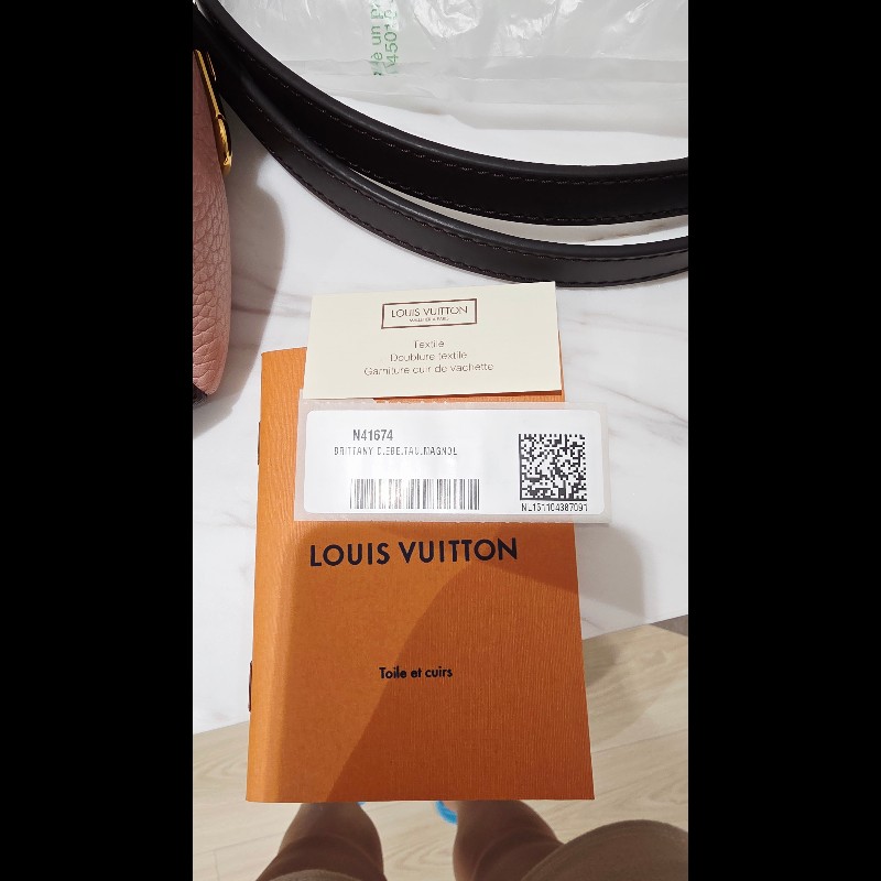 Louis Vuitton LV N41674 Brittany 棋盤格紋皮革鎖組兩用包 -19