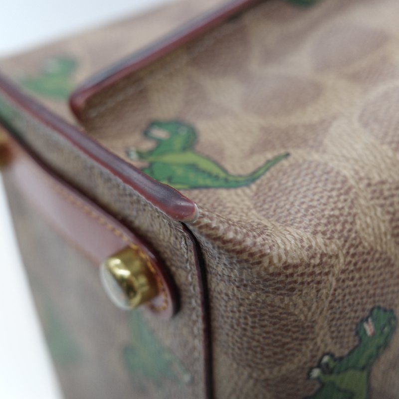 Coach 經典棕色花紋 恐龍太空系列 手提包 斜挎包 兩用包-13