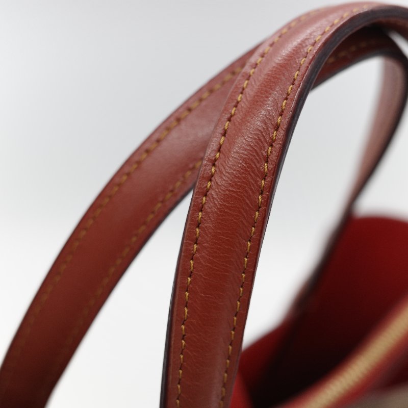 Coach 經典棕色花紋 恐龍太空系列 手提包 斜挎包 兩用包-23