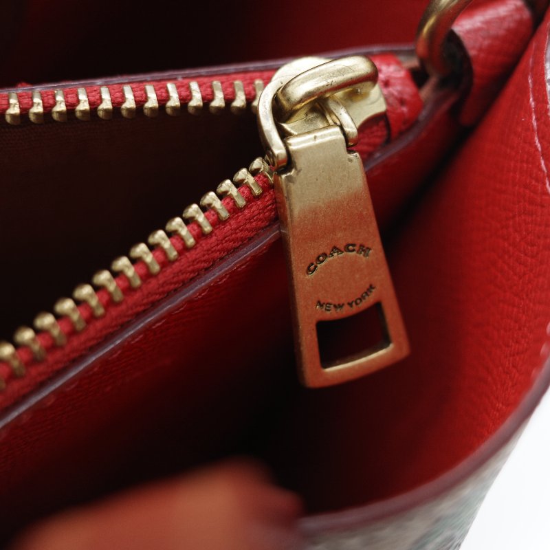 Coach 經典棕色花紋 恐龍太空系列 手提包 斜挎包 兩用包-31