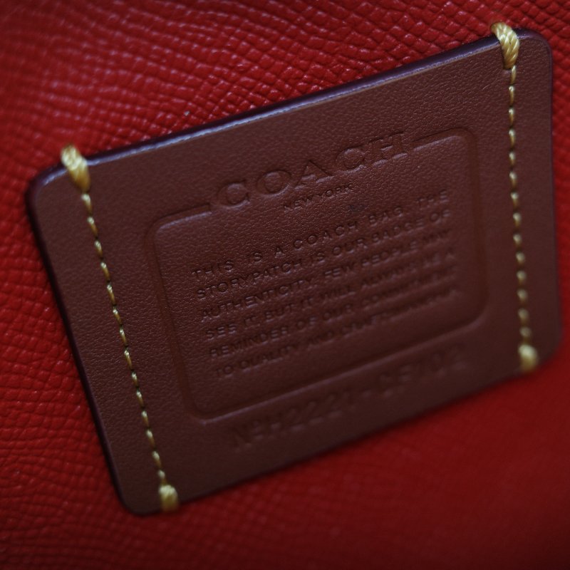 Coach 經典棕色花紋 恐龍太空系列 手提包 斜挎包 兩用包-32