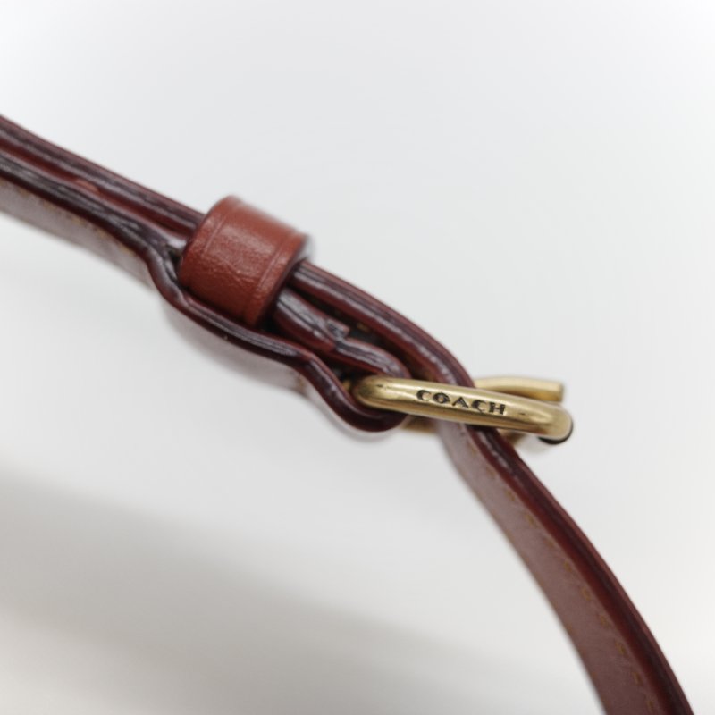 Coach 經典棕色花紋 恐龍太空系列 手提包 斜挎包 兩用包-40