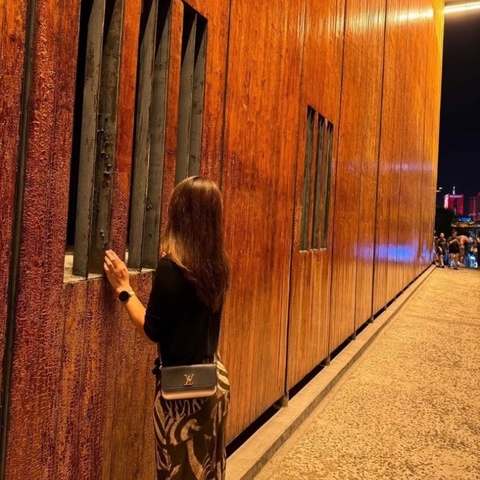 LV LOCKMETENDER 拼色肩背斜背鏈條包芯片款19*11*6  9新 配件塵袋