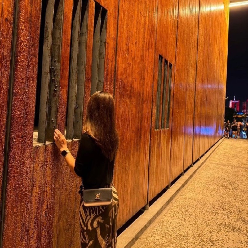 LV LOCKMETENDER 拼色肩背斜背鏈條包芯片款19*11*6 9新 配件塵袋-0