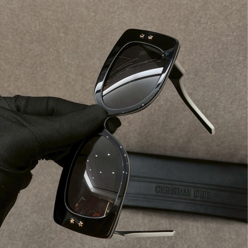 DIOR 經典款墨鏡-2