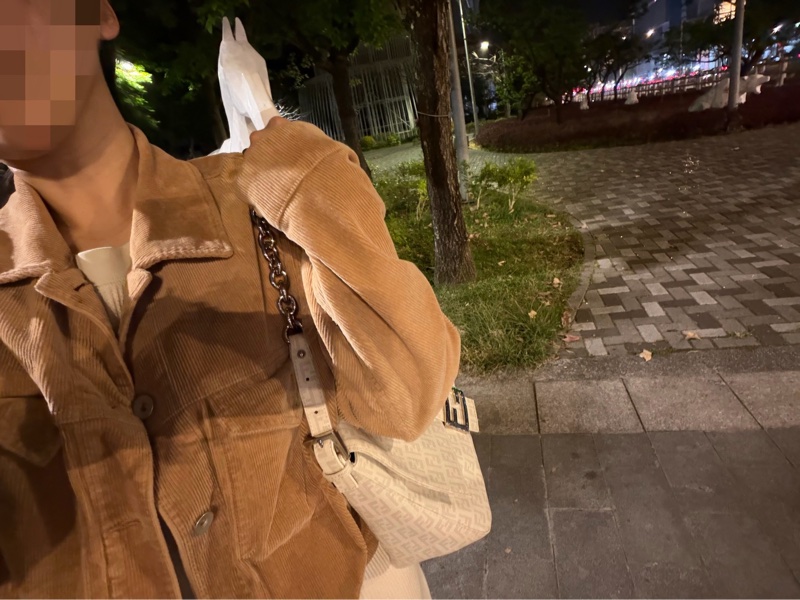 Fendi Zucchino Mama PVC 白 銀鍊 法棍包 肩背包 側背包 手提包-6