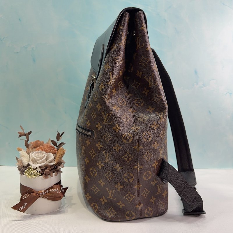 LV Macassar Palk 經典老花後背包-2