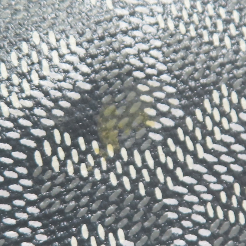 灰色帆布 Petit Flot 肩背包 PEFLOTPMLTY51CL51P【GOYARD 高雅德】 PEFLOTPMLTY51CL51P-13