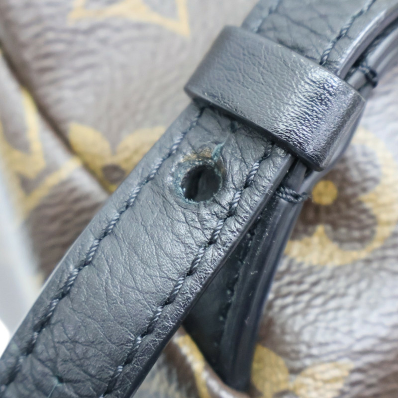 棕色 原花帆布 Palm Springs PM 後背包 M41560【LOUIS VUITTON LV 路易威登】 M41560-16