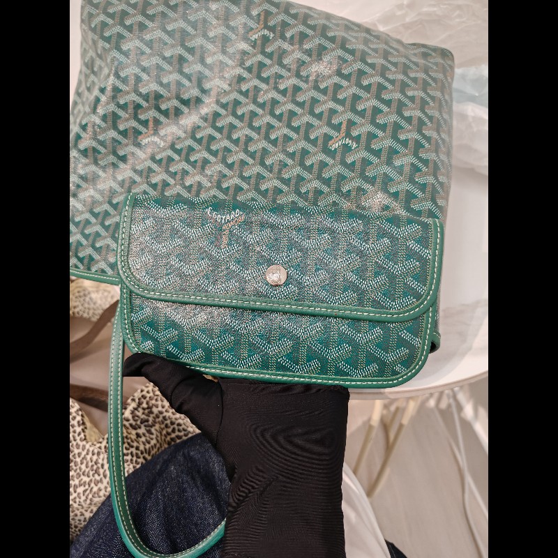 Goyard St Louis tote pm green-14