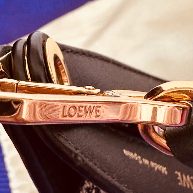 LOEWE 月亮包-15