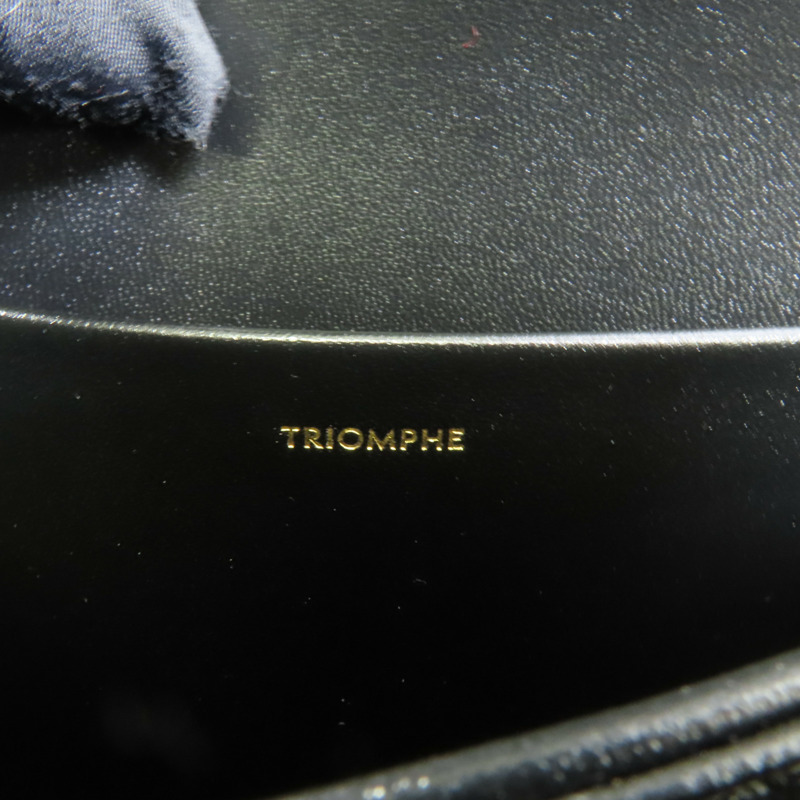 CELINE 牛皮皮革Classique Triomphe金扣肩背袋-9