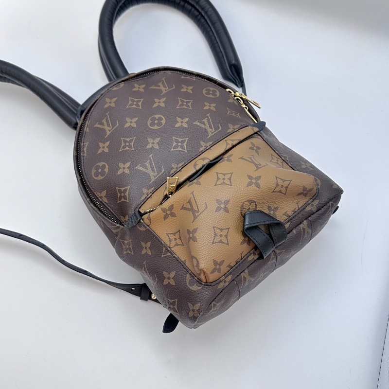 LV PALMSPRINGS拼色 金扣中號後背包 20*29*9 98新配件塵袋-5