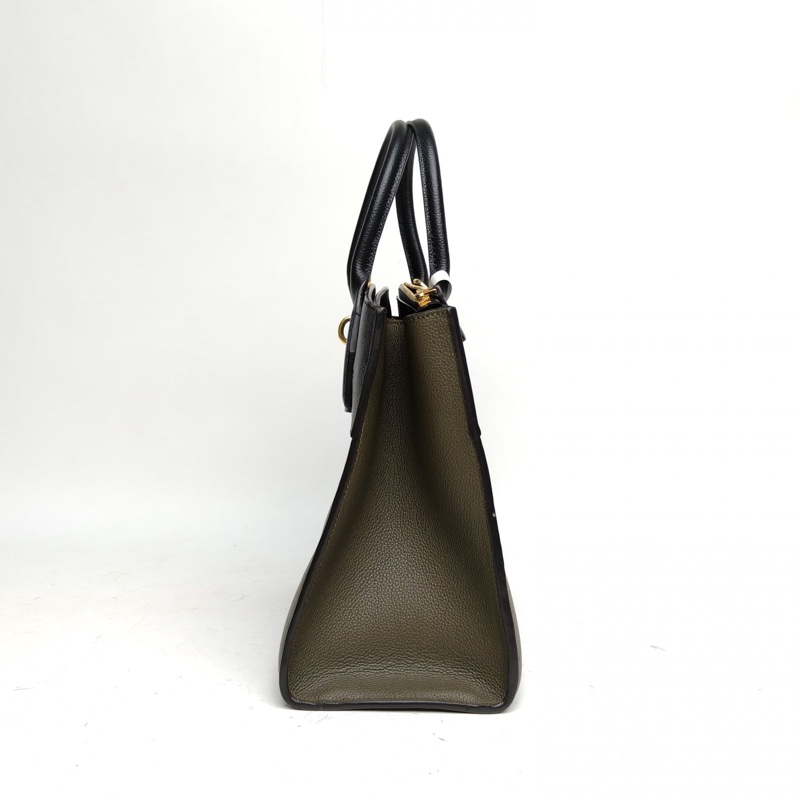 LOUIS VUITTON CitySteamer中號拼色牛皮金扣2018-1