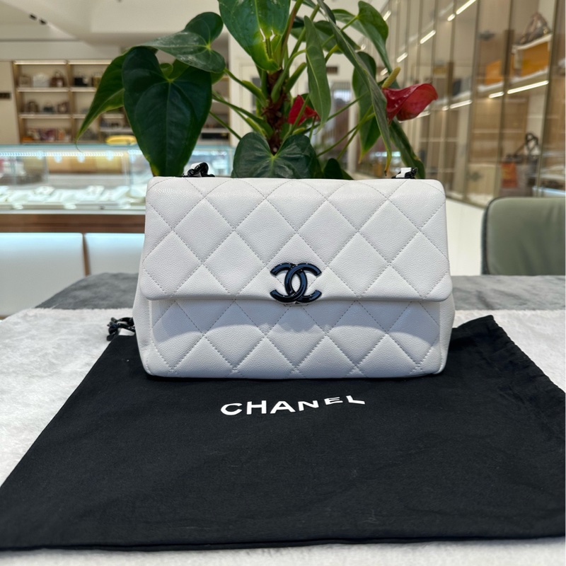 chanel/香奈兒 黑白熊貓荔枝皮牛皮 大mini20  CF鏈條包-0