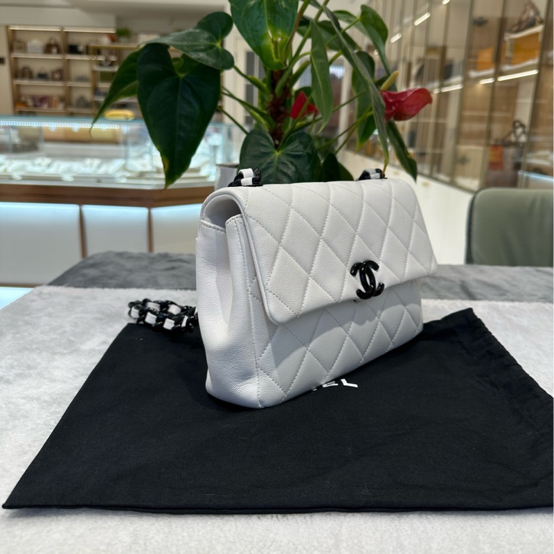 chanel/香奈兒 黑白熊貓荔枝皮牛皮 大mini20  CF鏈條包-3